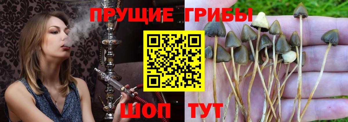 Галлюциногенные грибы Magic Shrooms Королёв