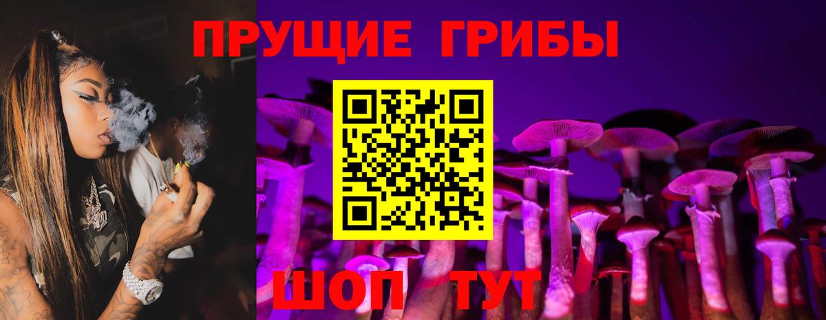Псилоцибиновые грибы MAGIC MUSHROOMS  Вход с VPN  Королёв 